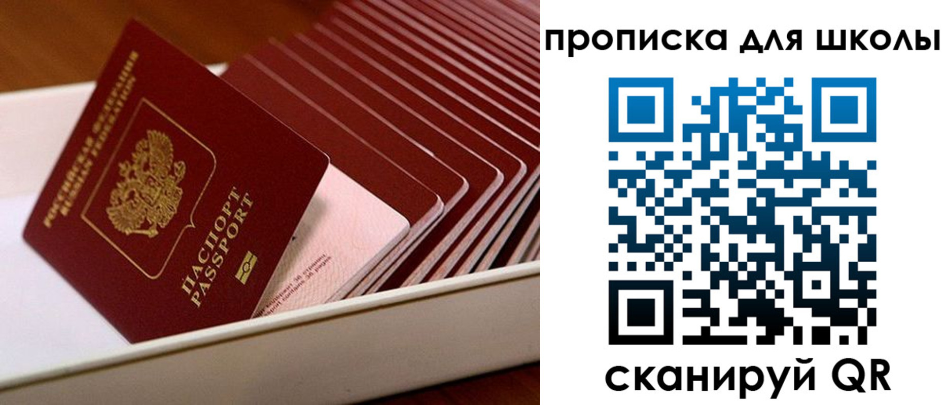 временная регистрация гарантия в Архангельской области